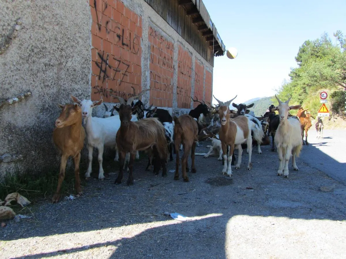 Nostro Rifugio Villa Apricale