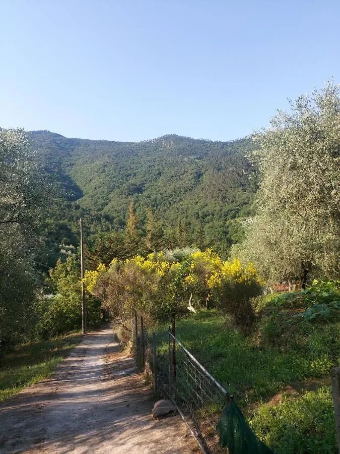 Nostro Rifugio Villa Apricale 0*,  Italy